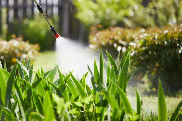 24/7 Emergency Ant Control experts in Claxton, GA