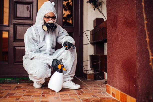 Reliable Ant Control contractor in Claxton, GA by Nex Pest Control