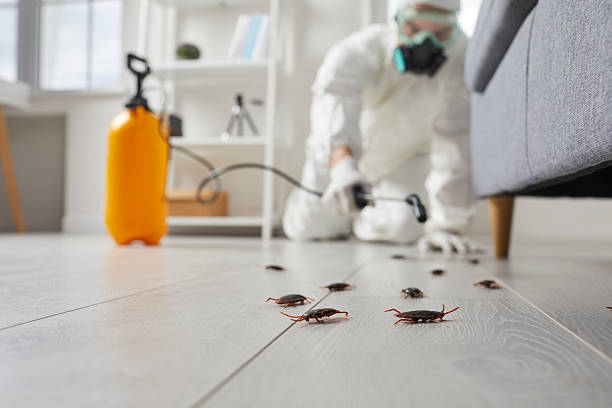 Trusted Rodent Control service in Claxton, GA - Nex Pest Control